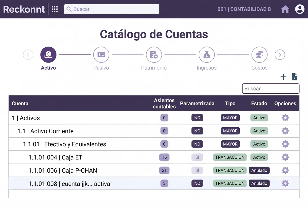 Reporte financiero de Reckonnt con estado de resultados y balance de comprobación